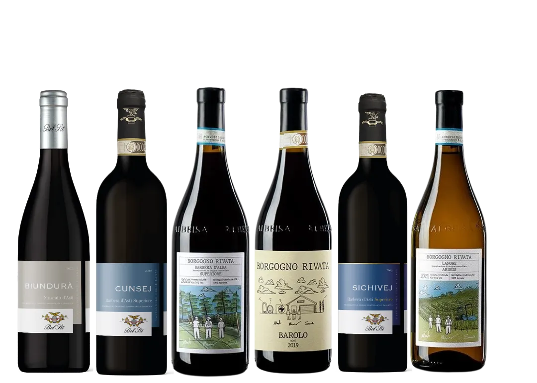 Smagekasse med seks forskellige vine fra Piemonte, inklusive både røde og hvide vine.